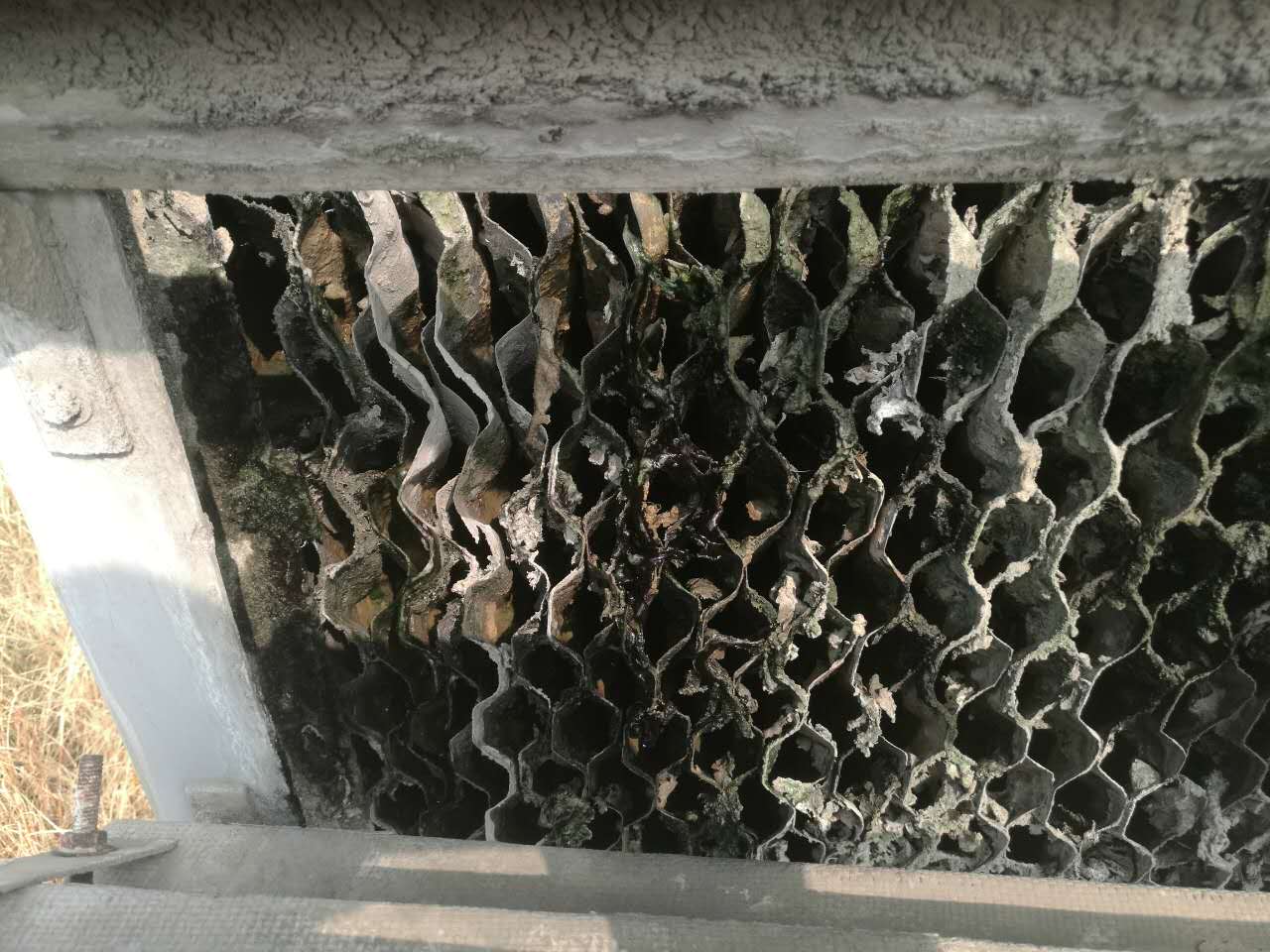 溴化鋰制冷機維修
